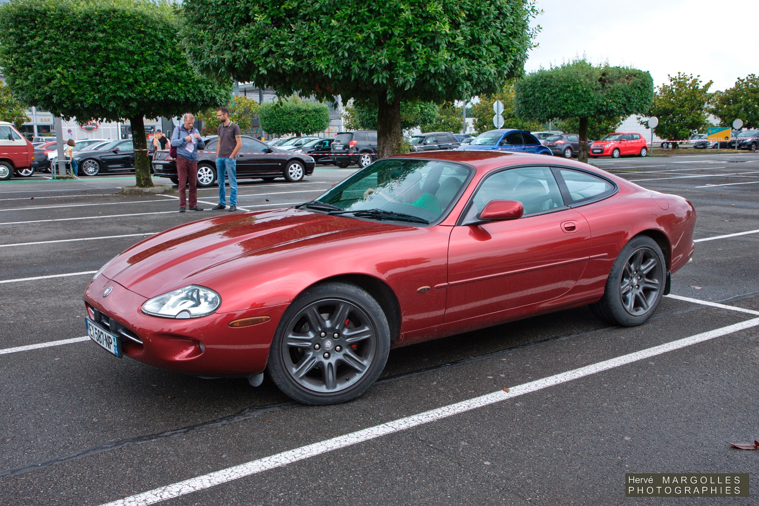 Jaguar XK8-01.jpg